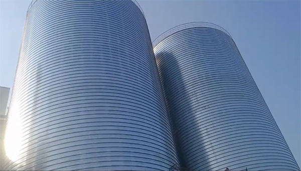 泰州2座混凝土高架卷板仓